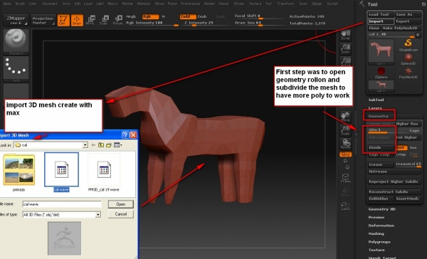 Creation of A colt: Step 9
